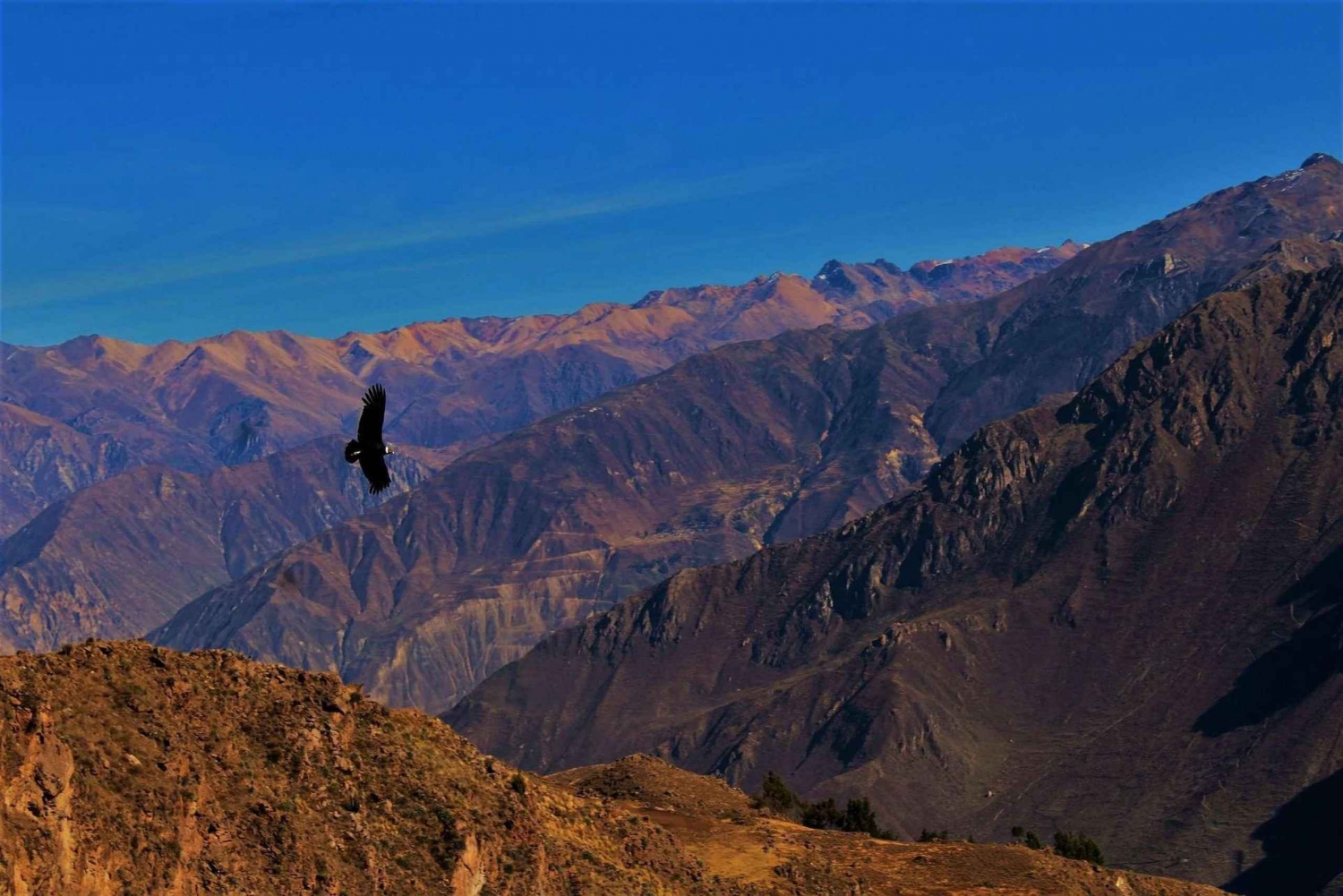 From Puno || 2-day Colca Canyon Tour ending in Arequipa ||