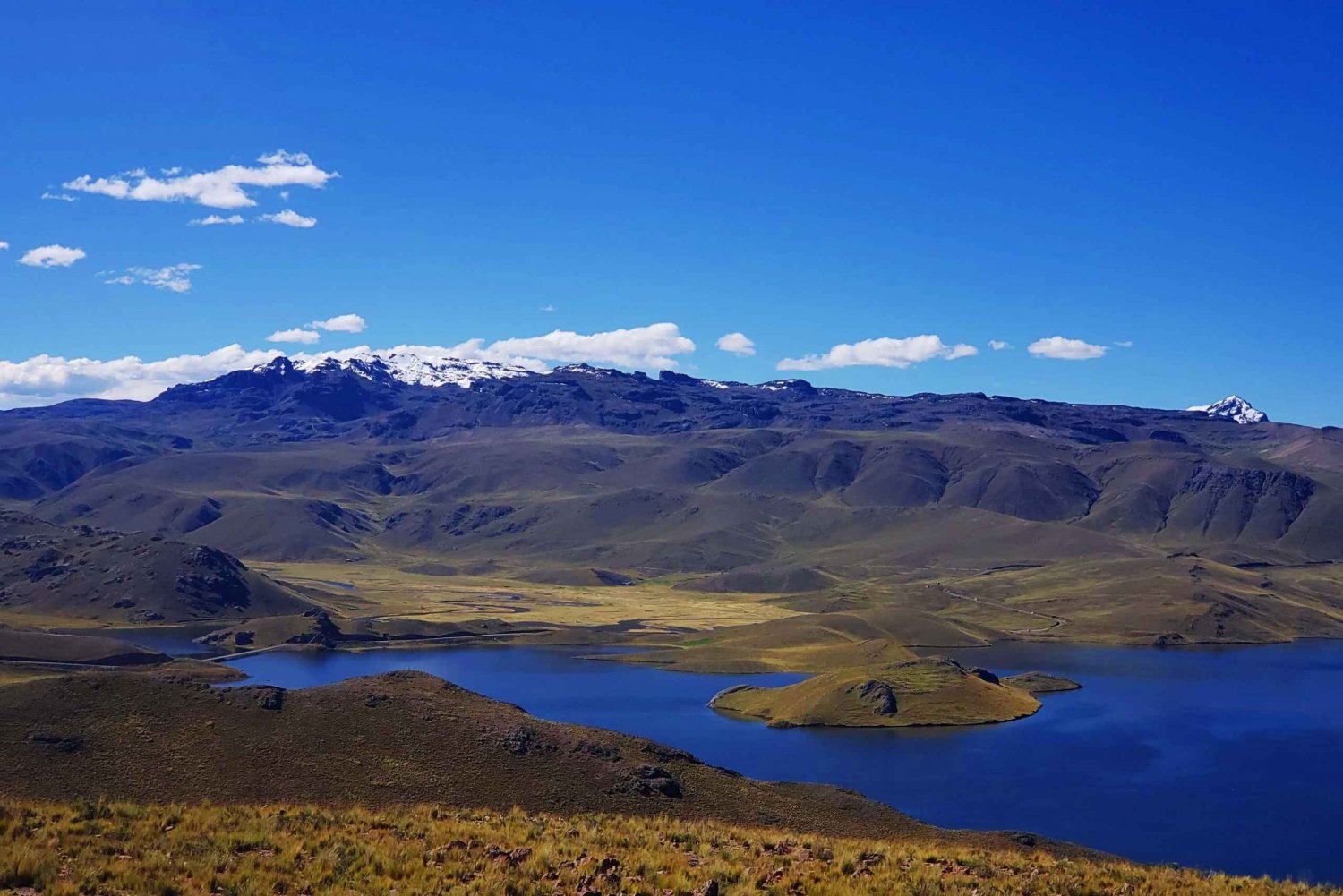 Fra Puno: 2-dagers tur til Colca Canyon med avslutning i Arequipa