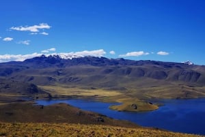Von Puno: 2-tägige Tour zum Colca Canyon mit Ende in Arequipa