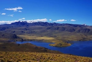 Von Puno: 2-tägige Tour zum Colca Canyon mit Ende in Arequipa