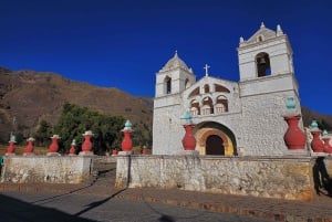From Puno: 2-Day Tour to Colca Canyon ending in Arequipa