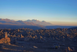 From Puno: 2-Day Tour to Colca Canyon ending in Arequipa