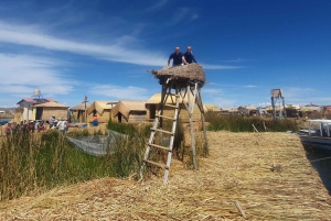 Da Puno: tour di 3 ore delle isole galleggianti di Uros