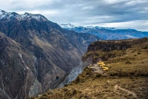 Van Puno: Tour naar de Colca-vallei 2 dagen met transfer naar Arequipa