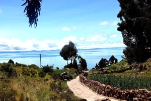 Da Puno: Tour di un giorno intero di Uros Taquile Sillustani