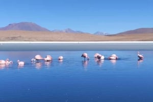From Puno: La Paz City Tour - Salar de Uyuni 4 days