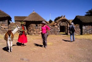 Från Puno: Sillustani-gravarna och utsiktspunkten Puma