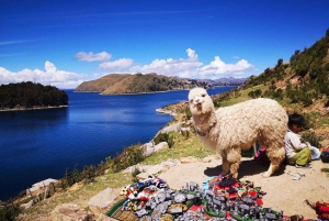 From Puno: Sun Island and Copacabana 1-Day Tour