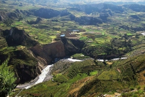 De Puno a Arequipa: Excursión de 2 días/1 noche al Cañón del Colca