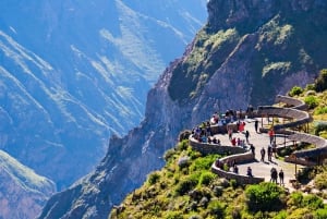 De Puno à Arequipa : excursion de 2 jours/1 nuit au Canyon de Colca