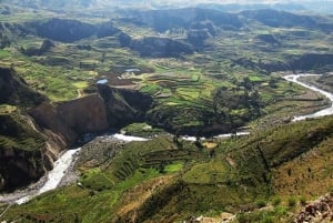 From Puno to Arequipa: 2 Days/1 Night Colca Canyon Tour