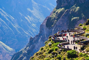 From Puno to Arequipa: 2 Days/1 Night Colca Canyon Tour