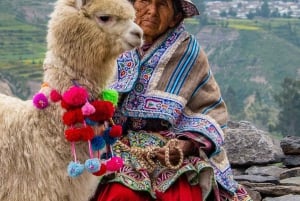 From Puno to Arequipa: 2 Days/1 Night Colca Canyon Tour