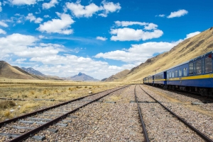 From Puno: Travel to Cusco in Titicaca Train All Inclusive