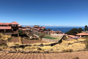 From Puno: Uros Islands, Lake Titicaca & Taquile Day Tour