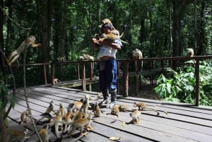 From Sabalillo Jungle Adventure