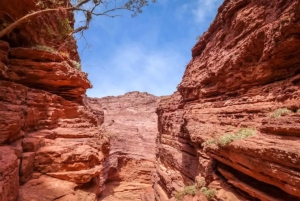 Vanuit Salta: Cafayate en de imposante Quebrada de las Conchas