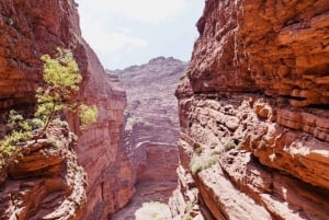 Vanuit Salta: Cafayate en de imposante Quebrada de las Conchas