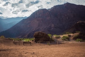 Vanuit Salta: Cafayate en de imposante Quebrada de las Conchas