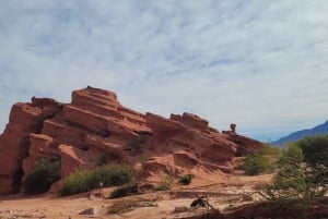 Vanuit Salta: Cafayate en de imposante Quebrada de las Conchas
