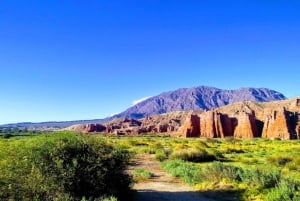 Vanuit Salta: Cafayate en de imposante Quebrada de las Conchas