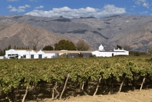 Vanuit Salta: Cafayate en de imposante Quebrada de las Conchas