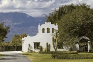 Vanuit Salta: Cafayate en de imposante Quebrada de las Conchas