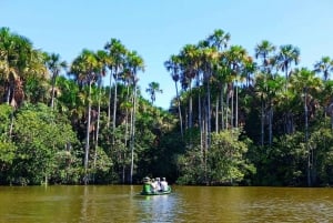 Da Tambopata: Escursione nella giungla amazzonica e Lago Sandoval di 1 giorno