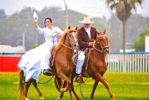 From Trujillo: full day with paso horses and sailor show