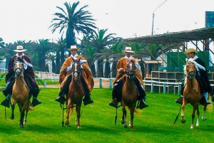 From Trujillo: full day with paso horses and sailor show