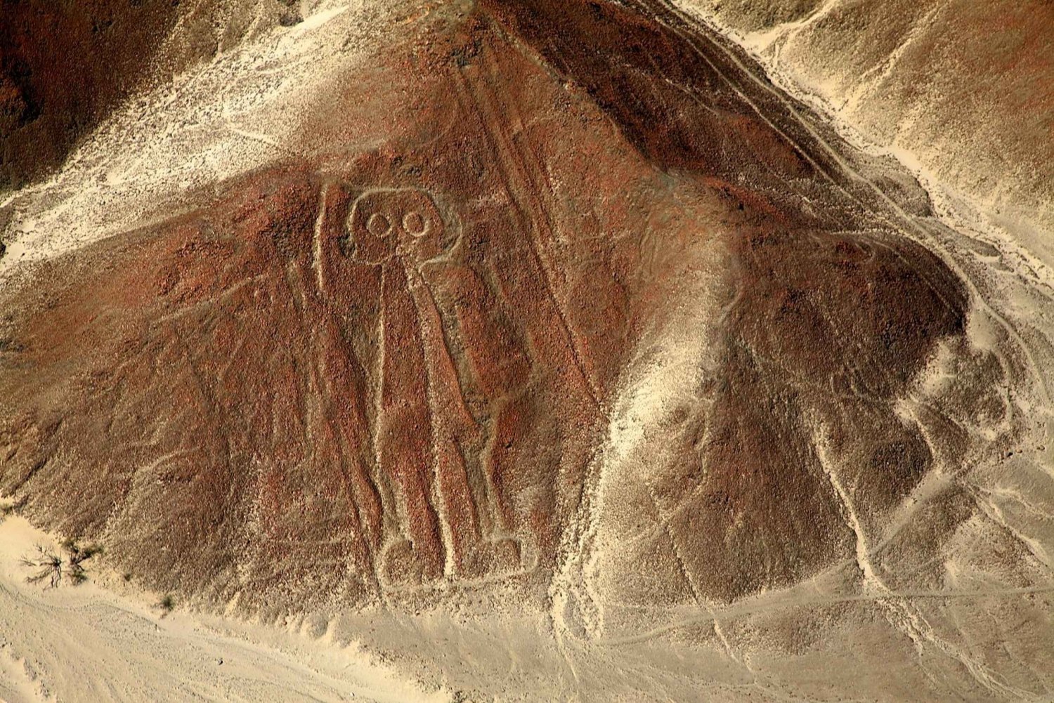 Full-Day All-Inclusive Nazca Lines Tour from Lima