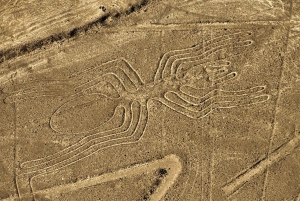 Full-Day All-Inclusive Nazca Lines Tour from Lima