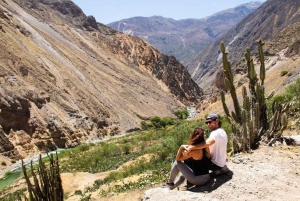 Full-Day Colca Canyon Tour from Arequipa