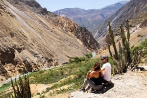 Full-Day Colca Canyon Tour from Arequipa