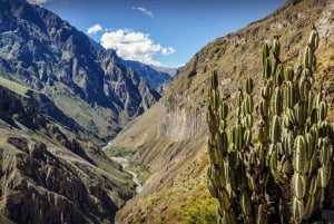Full-Day Colca Canyon Tour from Arequipa