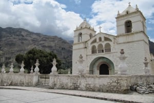 Full-Day Colca Canyon Tour from Arequipa
