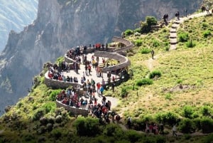 Full-Day Colca Canyon Tour from Arequipa