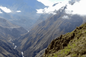 Full-Day Colca Canyon Tour from Arequipa