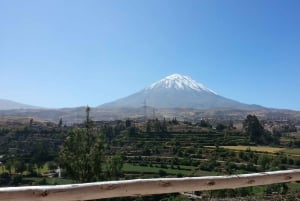 Full-Day Colca Canyon Tour from Arequipa