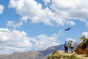 Full-Day Condor Viewpoint & Inca Sites Tour