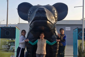 Full Day of Archaeology in Trujillo