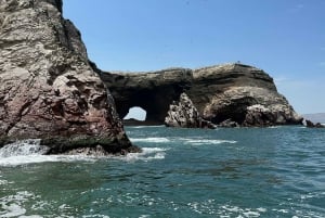 Paracas e Huacachina: Ilhas, Dune Buggy e Piquenique ao Pôr do Sol