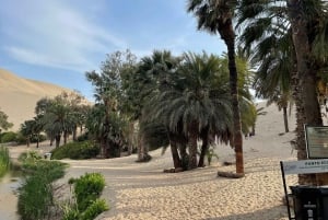 Paracas e Huacachina: Ilhas, Dune Buggy e Piquenique ao Pôr do Sol