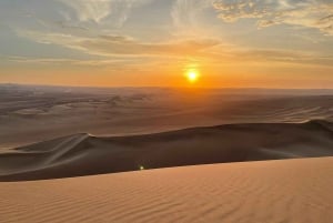 Paracas e Huacachina: Ilhas, Dune Buggy e Piquenique ao Pôr do Sol