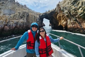 Paracas e Huacachina: Ilhas, Dune Buggy e Piquenique ao Pôr do Sol