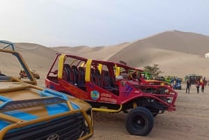 Paracas e Huacachina: Ilhas, Dune Buggy e Piquenique ao Pôr do Sol