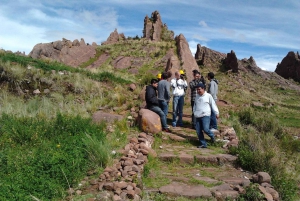 Full-Day Private Aramu Muru w/ Andean Shaman