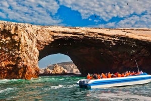 Heldagstur Ballestasöarna och Paracas nationalreservat