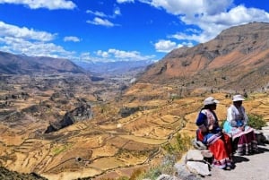 De Arequipa: Excursão de 1 dia ao Canyon do Colca com café da manhã