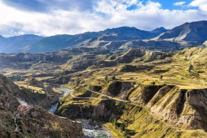 De Arequipa: Excursão de 1 dia ao Canyon do Colca com café da manhã